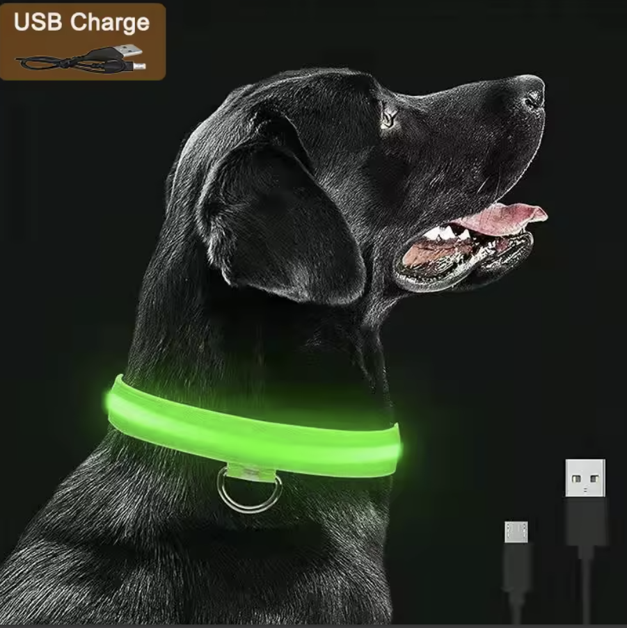 Rechargeable LED Dog Collar – Night Safety Glow with 3 Light Modes