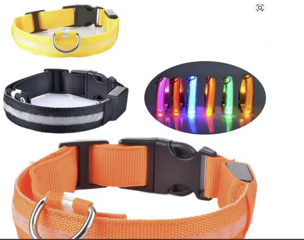 Rechargeable LED Dog Collar – Night Safety Glow with 3 Light Modes