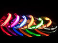 Rechargeable LED Dog Collar – Night Safety Glow with 3 Light Modes