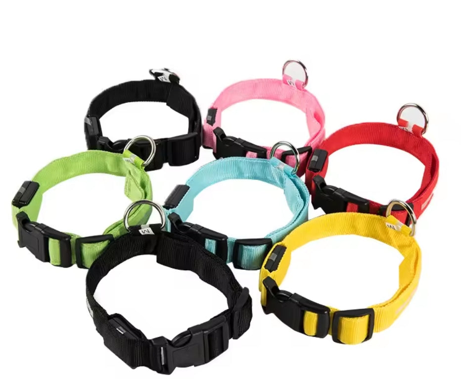 Rechargeable LED Dog Collar – Night Safety Glow with 3 Light Modes
