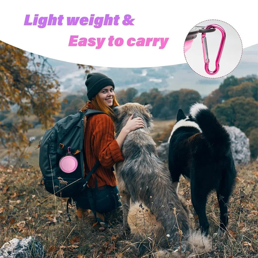 Portable Collapsible Dog Bowl – Pet Water & Food Dish for Walking, Hiking & Travel
